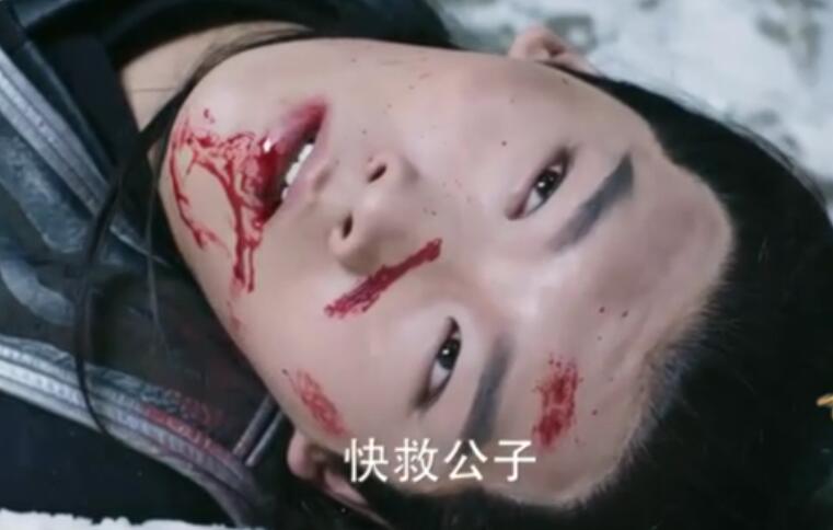 楚乔传大结局月七战死,楚乔传大结局宇文玥掉进冰河