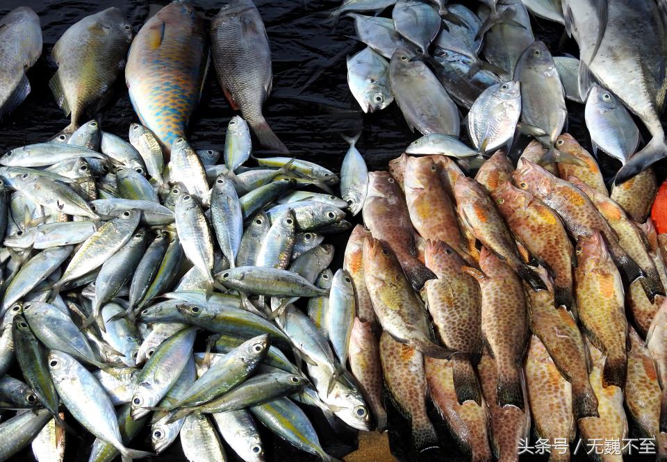 仙本那人间仙境的秘密,仙本那不为人知的一面