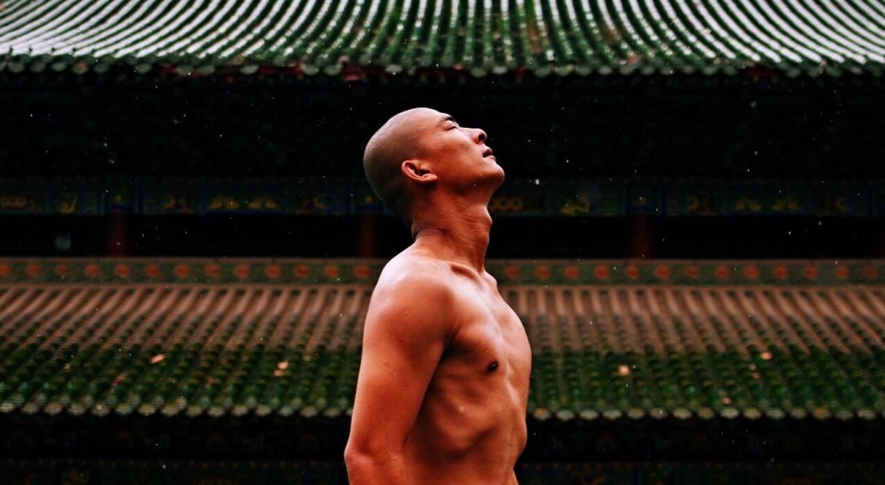 少林武僧释延觉,释延觉怒怼一龙完整版