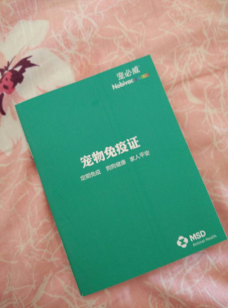 家养狗狗因为没买宠物险，闯祸以后，狗主人面临赔偿一筹莫展，该怎么给狗狗投保，看了这个你就全知道