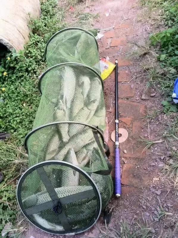 半价活动快来抢购,半价狂欢活动来袭