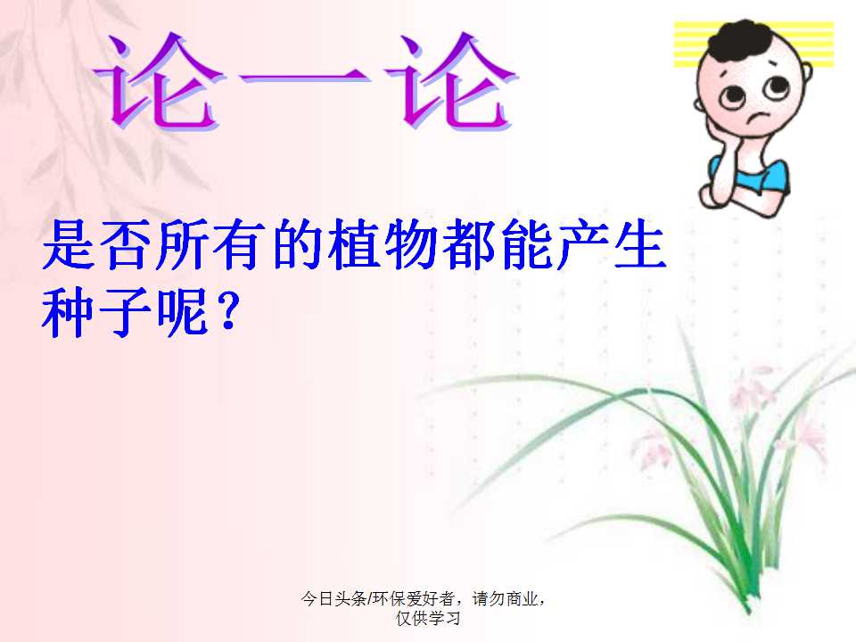 认识植物从身边开始,认识植物的根茎叶各个部分