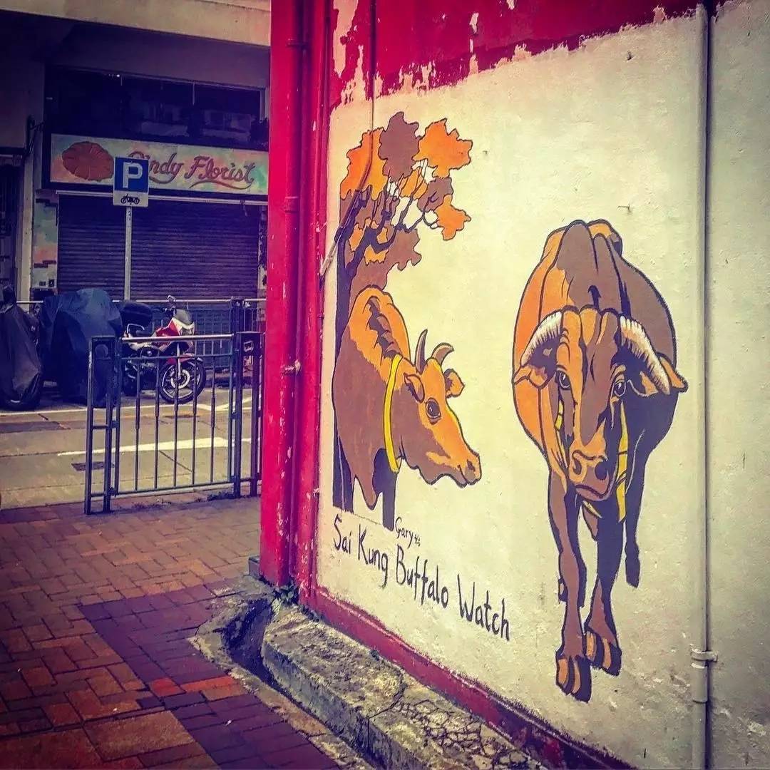 厌烦买买买后的香港还能玩什么？99%的旅游指南都看不到这些