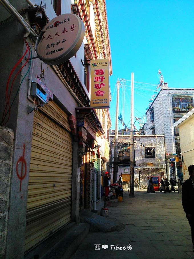 奥古斯都,August的格桑花秘境：我养你！带你去*藏西**啊！