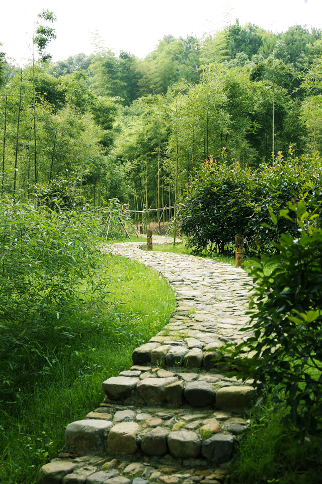 宜兴周边避暑地方,宜兴开车避暑攻略