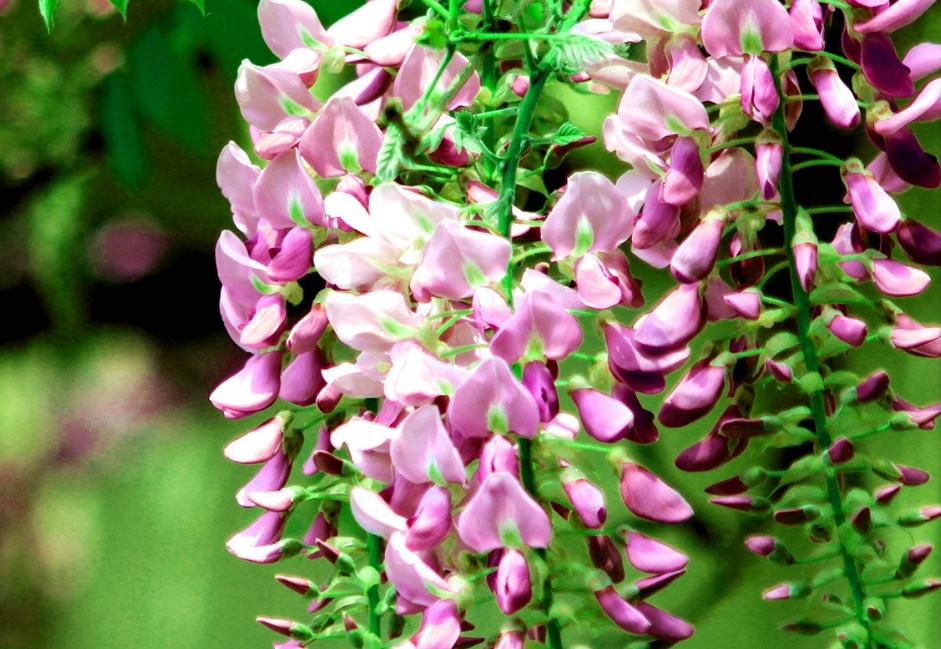 有一种岁月带给你的忧伤，因为你懂，所以，你泪流满面