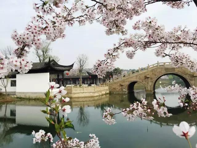 张家港城市发展得怎么样,为什么羡慕江浙沪