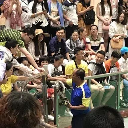 一路向北最清凉的夏天,一路向南翻过喜马拉雅山脉