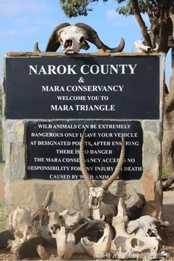 风动？树动？心动！致你，Kenya