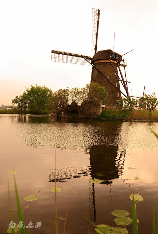 荷兰现在能不能去,什么时候不能去荷兰