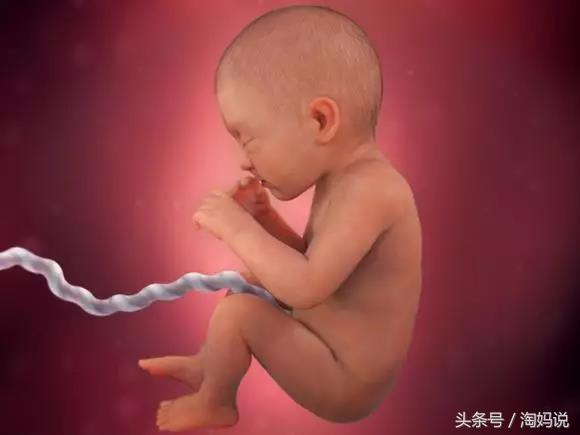 胎儿发育40周全过程注意事项,赞宝宝训练抬头的句子