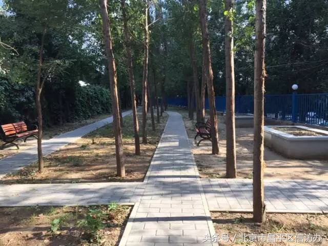 回龙观天通苑地区提升发展,回龙观天通苑改造规划