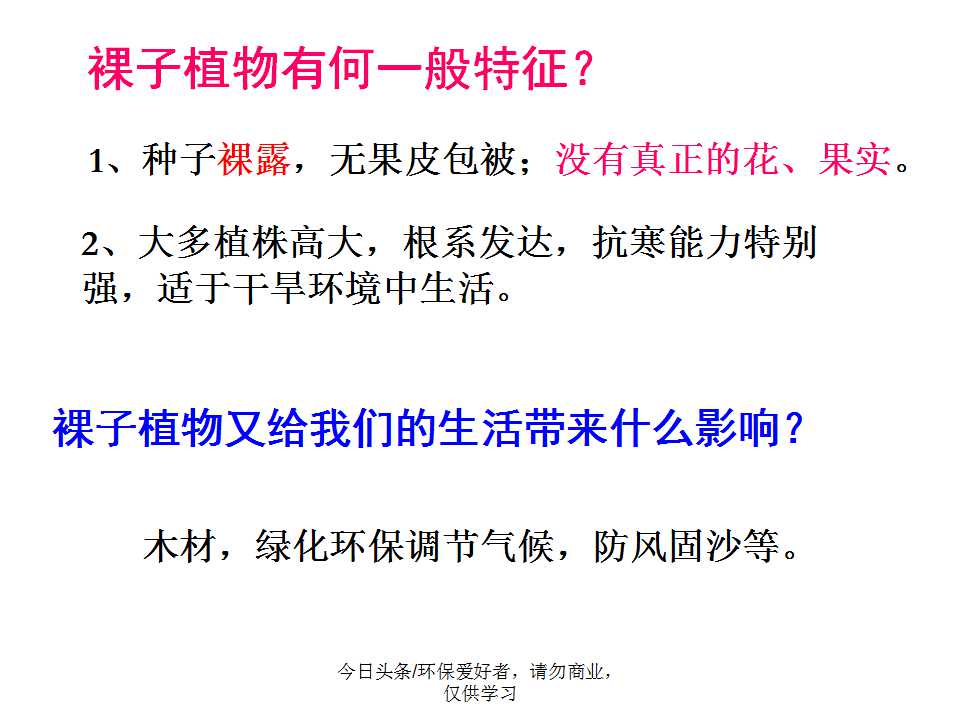 认识植物从身边开始,认识植物的根茎叶各个部分