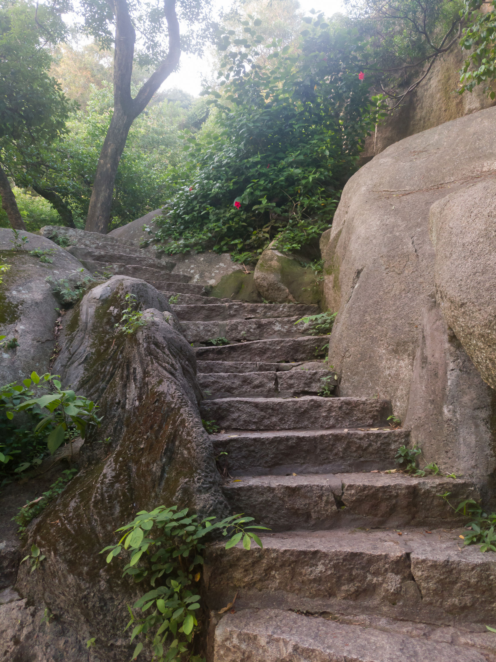 手机旅拍：厦门大学南门外的南普陀寺