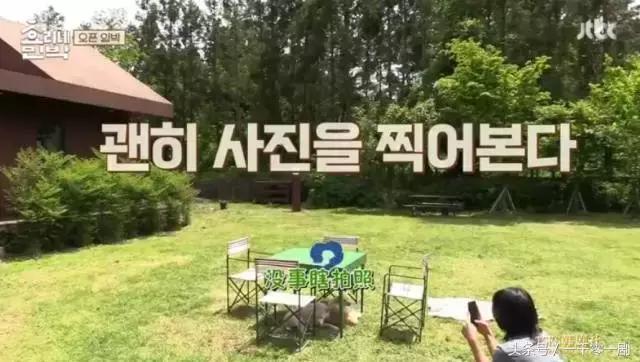 国民妖精的成长经历,国民妖精