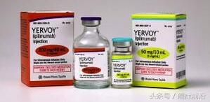 黑色素瘤pd1和干扰素治疗效果,黑色素瘤pd-1免疫疗法