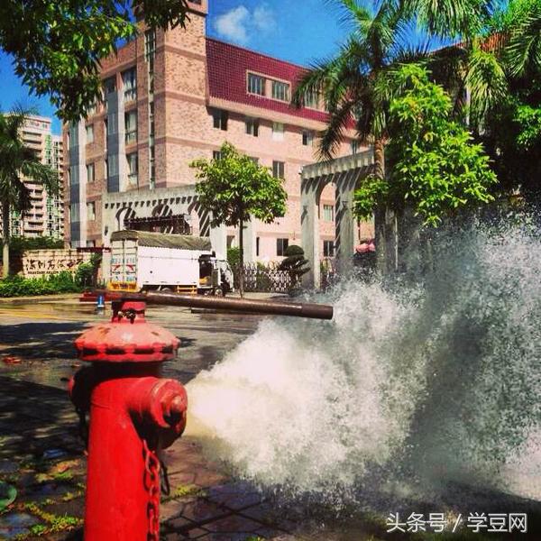 学豆观察︱在深圳高级中学读书是怎样的体验？