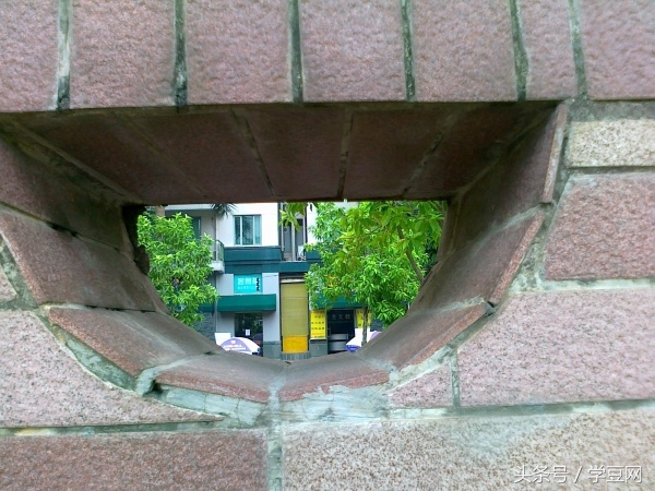 学豆观察︱在深圳高级中学读书是怎样的体验？