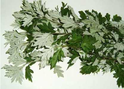 正确的艾条艾灸方法,艾条科普知识