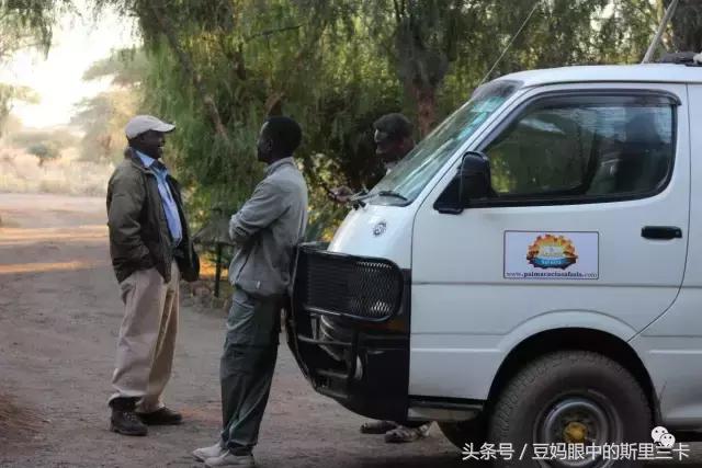 风动？树动？心动！致你，Kenya