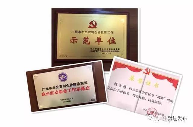 风采｜想知道“中经汇通”为什么这么牛？*党**建工作实力抢镜！