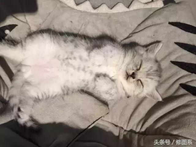 修图师会用哪些修图软件,修图师都用ps么