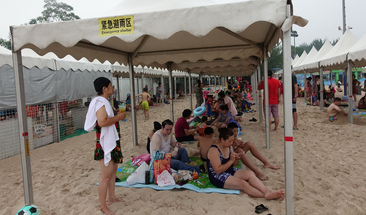 “汪星人”助阵海洋沙滩嘉年华沙足性别大战上演