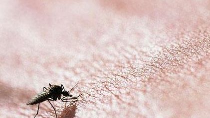 有像痣一样的小红点不痛不痒,身上长小红点像小白点