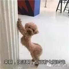 不知道带小孩去哪里玩,广州哪些公园适合带孩子去玩