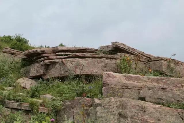 山西历山舜王坪大草原攻略,看云海高山草甸的地方