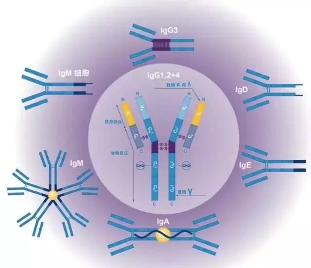 强生hiv疫苗,强生疫苗事件