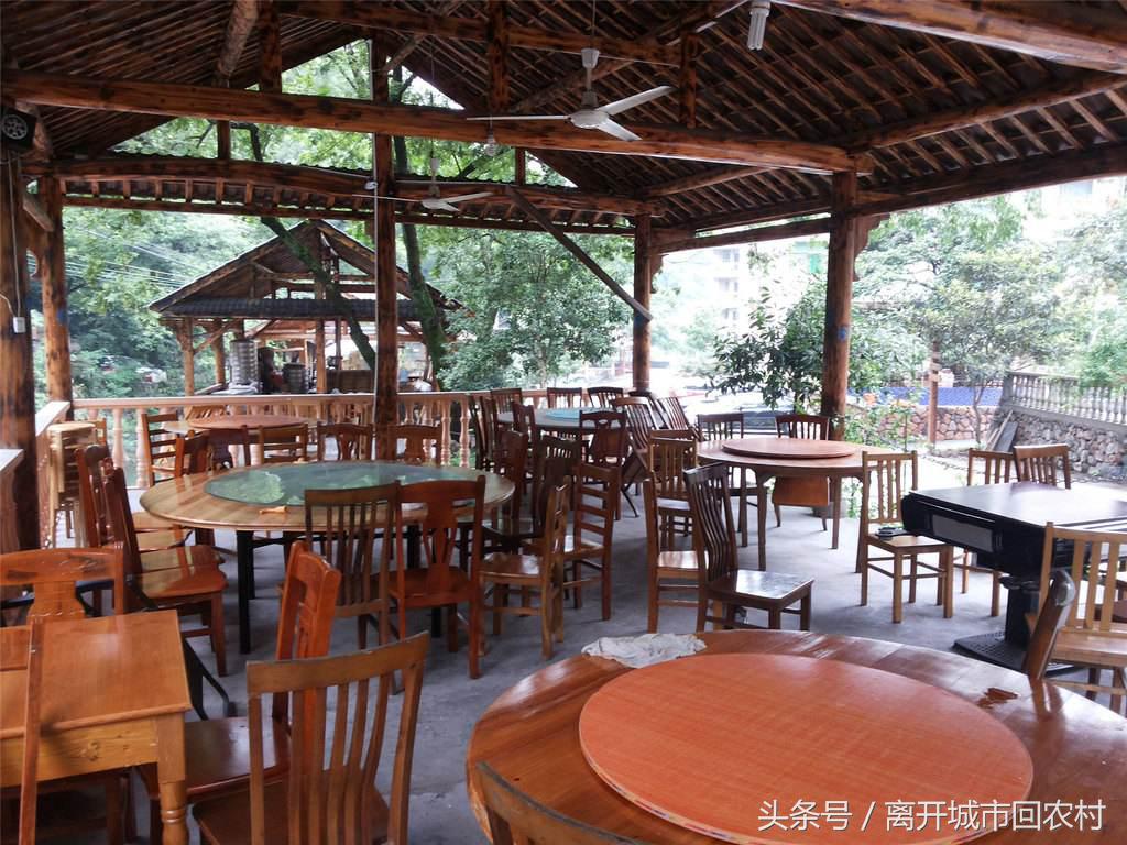 大学生回农村创业有什么政策,大学生回农村创业有哪些好项目