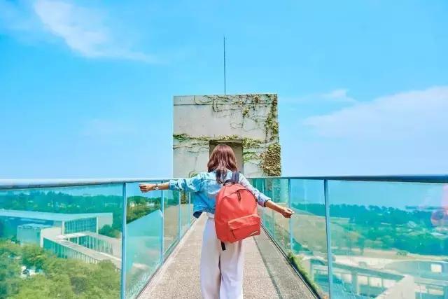 花少、花样、中餐厅，扒一扒明星们都宠幸了哪些包包