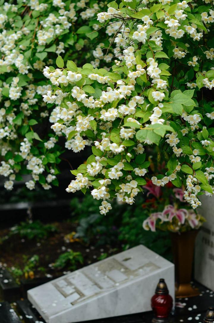 感受战斗民族日常,感受战斗民族的热情