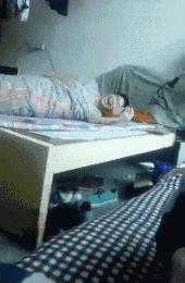 我可以三天后再杀你，在此之前满足你三个要求