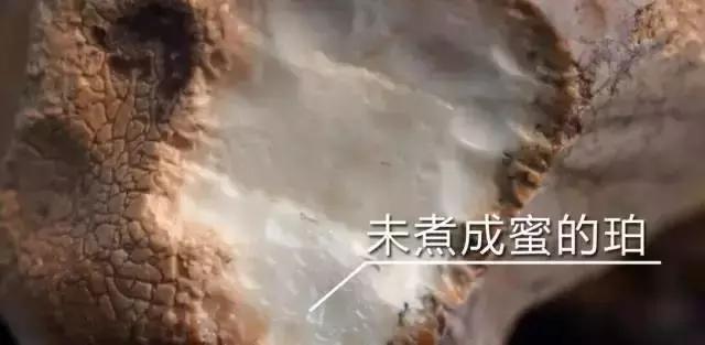 文玩小白为什么要多看少买,文玩心路历程之小白入坑篇