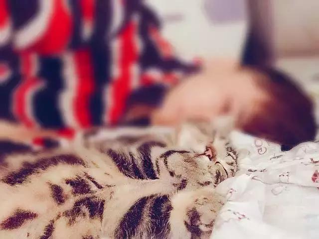 各种奇葩旅行经历,苏梅岛旅行游记