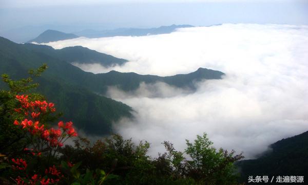 婺源第一名,婺源茶叶第一名