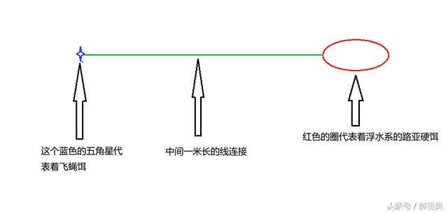 路亚白条用飞蝇钩好还是亮片好,路亚白条用飞蝇好还是用毒蚊好