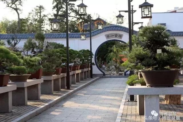 清逸园，一座闹中取静的“文人园林”