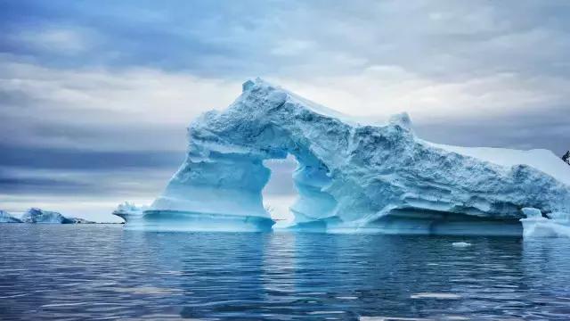 阿里巴巴员工连去十趟南极景色壮美企鹅在腿上睡着