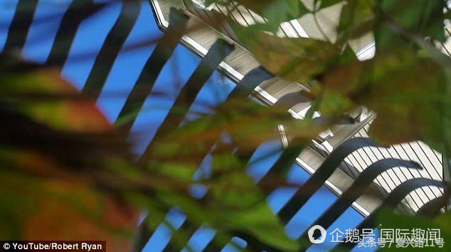 手机从飞机上掉下去视频,手机从飞机上掉下来