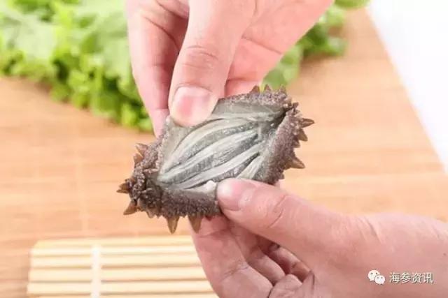 常吃海参的朋友给你几个忠告,经常吃海参的人还有得癌症的吗