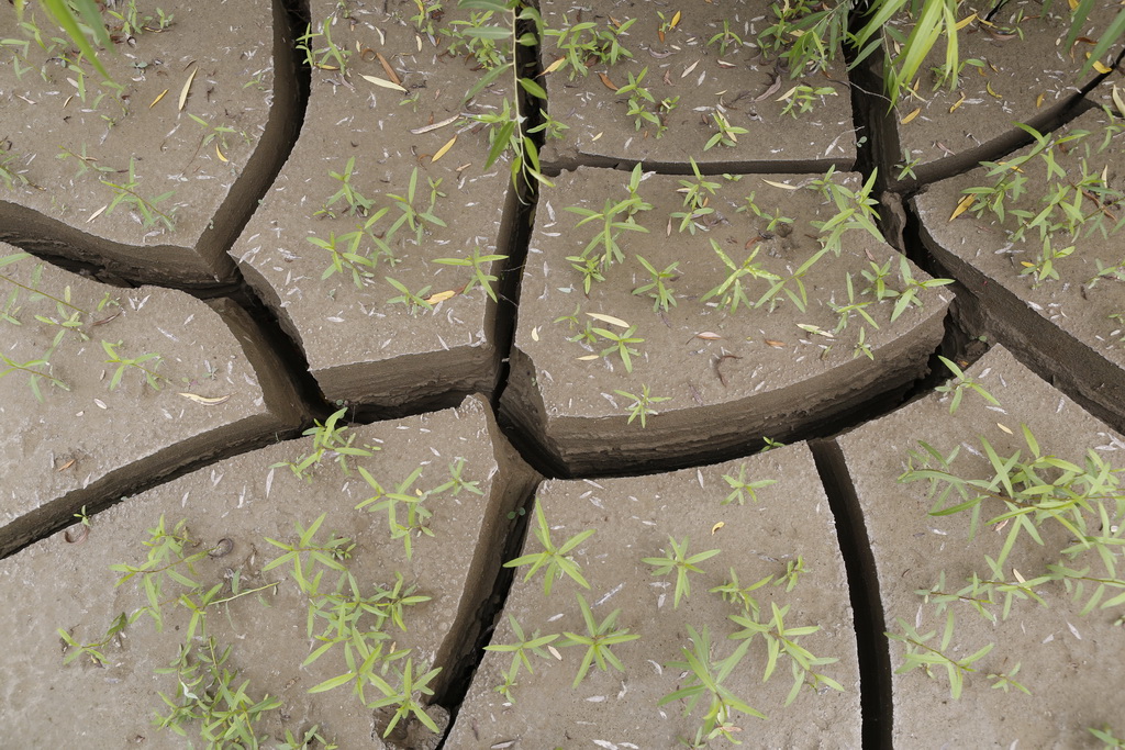 大武汉系列之武汉冶炼厂,大武汉系列之武汉印染厂