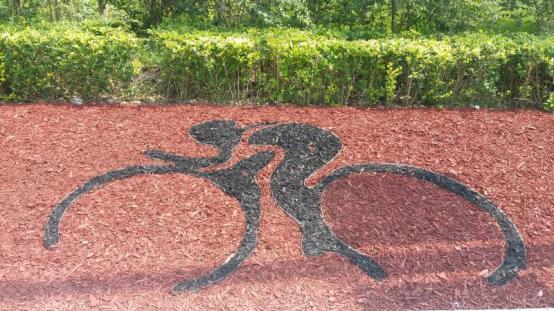 津南区火炬传递视频,津南区火炬传递直播