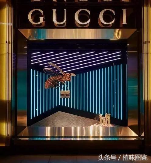 不出国门就能买到全球好物,不出家门看遍世界