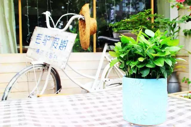 媲美鼓浪屿!深圳竟藏着一个文艺拍照圣地,海滨花火刷爆朋友圈!