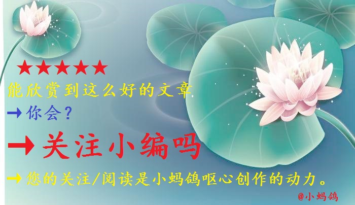 特工皇妃楚乔传全文阅读,特工皇妃楚乔传第二部小说