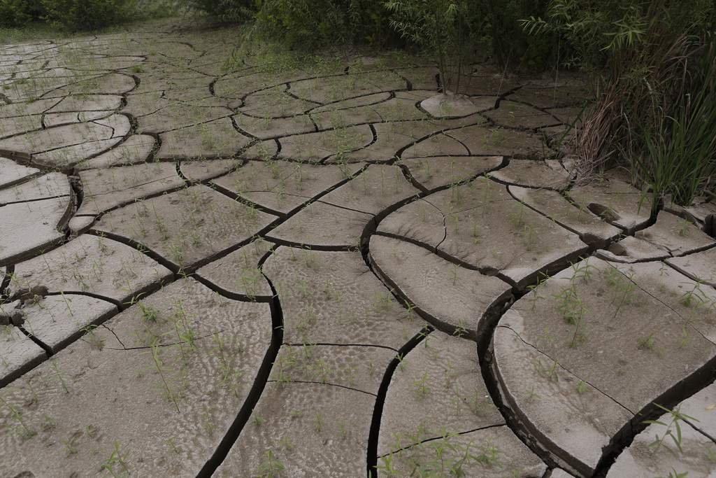 大武汉系列之武汉冶炼厂,大武汉系列之武汉印染厂