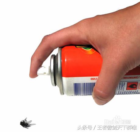 家里有金色小飞虫怎么消灭,家里为什么有小飞虫怎么消灭